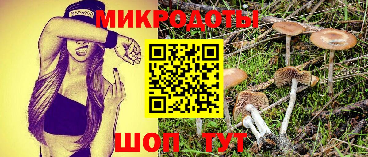 Псилоцибиновые грибы Psilocybine cubensis Вязьма