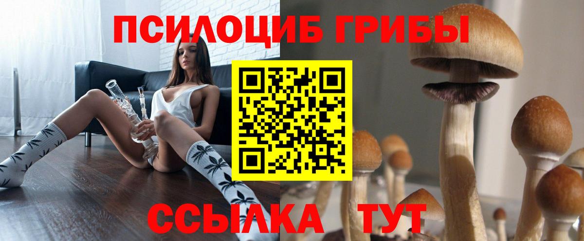 Псилоцибиновые грибы ЛСД  Псилоцибиновые грибы GOLDEN TEACHER  Вход с VPN  Вязьма 